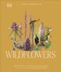 Wildflowers - Preview