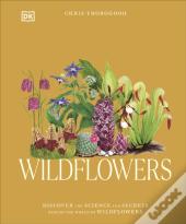 Wildflowers