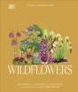 Wildflowers - Preview