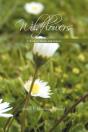 Wildflowers - Preview