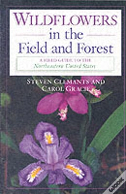 Capa do artigo Wildflowers In The Field And Forest