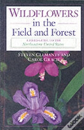Capa do artigo Wildflowers In The Field And Forest