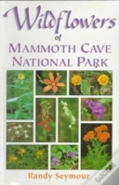 Wildflowers Of Mammoth Cave National Park