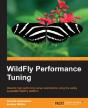 Wildfly Performance Tuning - Preview
