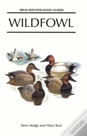 Wildfowl