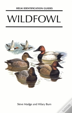 Capa do artigo Wildfowl