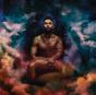 Wildheart - Vinil - Preview