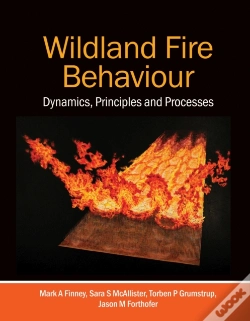 Capa do artigo Wildland Fire Behaviour