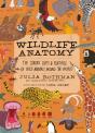 Wildlife Anatomy - Preview