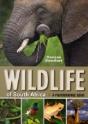 Wildlife Of South Africa - Preview