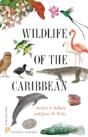 Wildlife Of The Caribbean - Preview