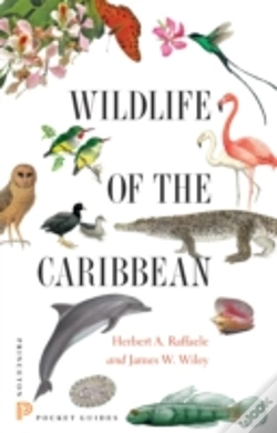 Capa do artigo Wildlife Of The Caribbean