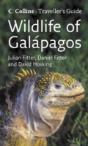 Wildlife Of The Galapagos - Preview