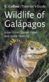 Wildlife Of The Galapagos
