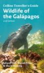 Wildlife Of The Galapagos - Preview