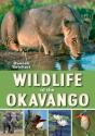 Wildlife Of The Okavango - Preview
