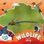 Wildlife On The Wing - Preview