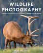 Wildlife Photography - Preview