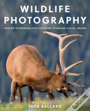 Capa do artigo Wildlife Photography