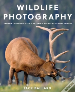 Capa do artigo Wildlife Photography