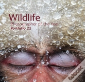 Capa do artigo Wildlife