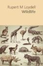 Wildlife - Preview