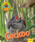Wildlife Watchers: Cuckoo