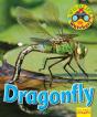 Wildlife Watchers: Dragonfly - Preview