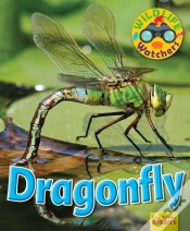 Capa do artigo Wildlife Watchers: Dragonfly