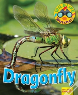 Capa do artigo Wildlife Watchers: Dragonfly