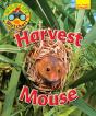 Wildlife Watchers: Harvest Mouse - Preview
