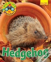 Capa do artigo Wildlife Watchers: Hedgehog