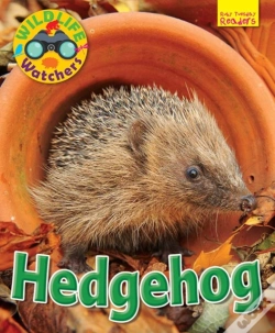 Capa do artigo Wildlife Watchers: Hedgehog