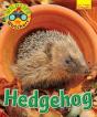 Wildlife Watchers: Hedgehog - Preview