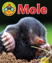 Capa do artigo Wildlife Watchers: Mole