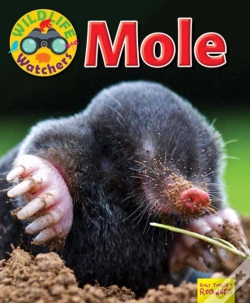 Capa do artigo Wildlife Watchers: Mole