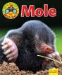 Wildlife Watchers: Mole - Preview