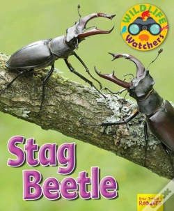 Capa do artigo Wildlife Watchers: Stag Beetle
