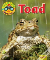 Capa do artigo Wildlife Watchers: Toad