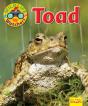 Wildlife Watchers: Toad - Preview
