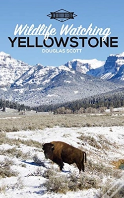 Capa do artigo Wildlife Watching: Yellowstone