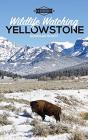 Wildlife Watching: Yellowstone - Preview