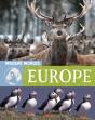 Wildlife Worlds: Europe - Preview