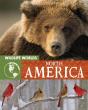 Wildlife Worlds: North America - Preview