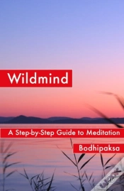 Capa do artigo Wildmind