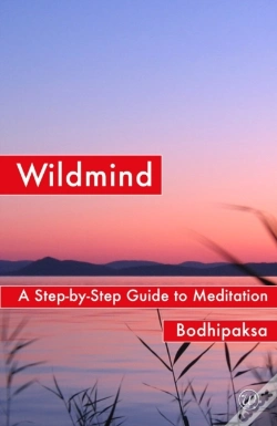 Capa do artigo Wildmind
