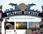 Wildwood Moments - Preview