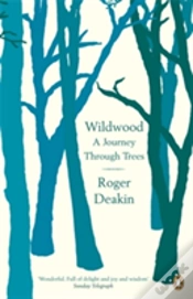 Capa do artigo Wildwood