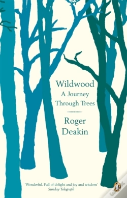 Capa do artigo Wildwood