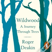 Capa do artigo Wildwood